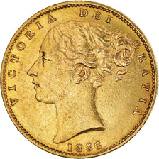 Moneda, Gran Bretaña, Victoria, Souverain, Sovereign, 1856, MBC, Oro, KM:736.1