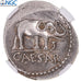 Moneda, Julius Caesar, Denarius, 49-48 BC, Military mint, NGC, graded, AU 5/5