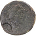 Monnaie, Bithynia, Septime Sévère, Æ, 193-211, Nikaia, Contremarque, TB+
