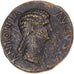 Munten, Antonia, Dupondius, 41-45, Rome, ZF, Bronzen, RIC:92