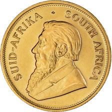 Moeda, África do Sul, Krugerrand, 1984, MS(64), Dourado, KM:73