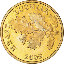 Coin, Croatia, 5 Lipa, 2009, MS(63), Brass plated steel, KM:5