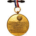 França, Medal, Ascension en Ballon Captif à Vapeur, Panorama de Paris, 1878