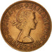 Coin, Great Britain, Elizabeth II, 1/2 Penny, 1966, EF(40-45), Bronze, KM:896