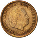 Monnaie, Pays-Bas, Juliana, Cent, 1954, TTB, Bronze, KM:180