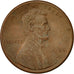 Moneta, USA, Lincoln Cent, Cent, 1984, U.S. Mint, Denver, EF(40-45), Miedź