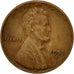 Moneta, Stati Uniti, Lincoln Cent, Cent, 1953, U.S. Mint, Denver, MB+, Ottone