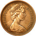 Coin, Great Britain, Elizabeth II, New Penny, 1976, EF(40-45), Bronze, KM:915