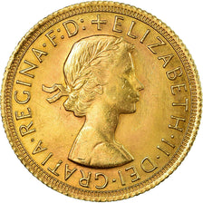 Moeda, Grã-Bretanha, Elizabeth II, Sovereign, 1966, AU(50-53), Dourado, KM:908