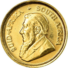 Moeda, África do Sul, 1/10 Krugerrand, 1981, AU(55-58), Dourado, KM:105