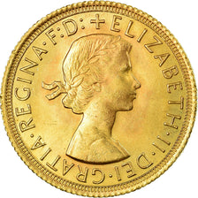 Moneta, Wielka Brytania, Elizabeth II, Sovereign, 1966, AU(50-53), Złoto