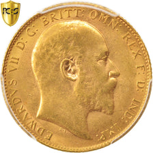 Grande-Bretagne, Edward VII, Sovereign, 1909, PCGS, MS62, Or, KM:805