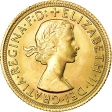 Moneta, Wielka Brytania, Elizabeth II, Sovereign, 1966, AU(55-58), Złoto