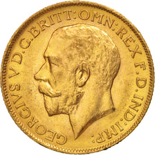 Münze, Großbritannien, George V, Sovereign, 1911, VZ, Gold, KM:820