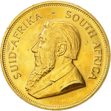 Coin, South Africa, Krugerrand, 1982, MS(63), Gold, KM:73