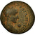 Moneda, Mesopotamia, Gordian III, Bronze Æ, 238-244, Edessa, BC+, Bronce, SNG