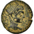 Moneda, Seleucis and Pieria, Elagabalus, As, 218-222, Antioch, MBC, Bronce
