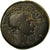 Monnaie, Séleucie et Piérie, Trajan, Bronze Æ, 115-116, Laodicée, TB