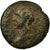 Moeda, Selêucia Piéria, Antoninus Pius, Bronze Æ, 138-161, Laodicea ad Mare