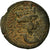 Münze, Seleucis and Pieria, Antoninus Pius, Bronze Æ, 138-161, Laodicea ad