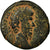 Monnaie, Séleucie et Piérie, Lucius Verus, As, 161-169, Antioche, TB, Bronze