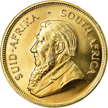 Coin, South Africa, Krugerrand, 1982, MS(65-70), Gold, KM:73