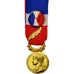 Francia, Médaille d'honneur du travail, medaglia, 1990, Eccellente qualità