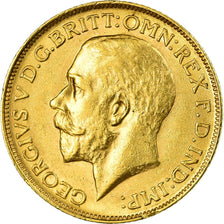 Monnaie, Grande-Bretagne, George V, Sovereign, 1911, SUP, Or, KM:820