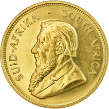 Moneta, Południowa Afryka, Krugerrand, 1981, MS(64), Złoto, KM:73