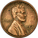 Coin, United States, Lincoln Cent, Cent, 1961, U.S. Mint, Denver, VF(30-35)