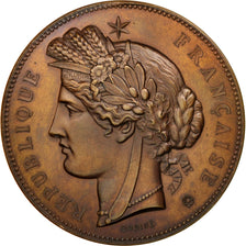 FRANCE, Arts & Culture, French Third Republic, Medal, MS(60-62), Oudiné, Bronze