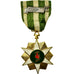 Vietnam, Campagne, Chien-Dich Boi-Tinh, Medaille, 1960, Excellent Quality, Gilt