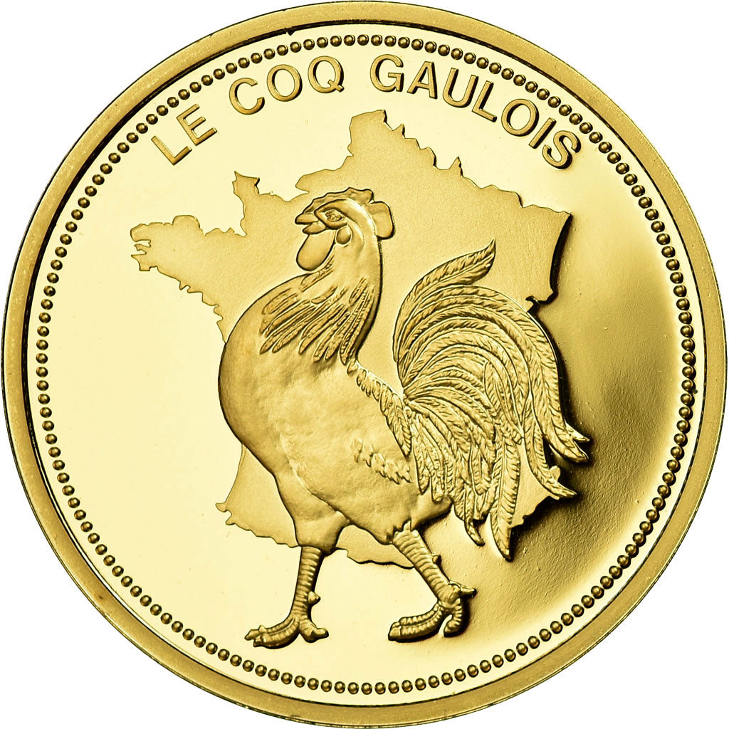 Francia medalla Histoire de France Le Coq Gaulois FDC Copper Gilt –  Numiscorner.com