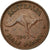 Coin, Australia, George VI, 1/2 Penny, 1943, EF(40-45), Bronze, KM:41