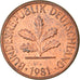 Coin, GERMANY - FEDERAL REPUBLIC, Pfennig, 1981, Karlsruhe, AU(55-58), Copper