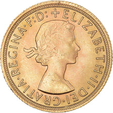 Moeda, Grã-Bretanha, Elizabeth II, Sovereign, 1965, MS(63), Dourado, KM:908