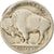 Munten, Verenigde Staten, Buffalo Nickel, 5 Cents, Uncertain date, U.S. Mint