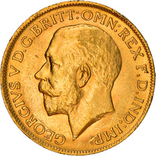 Coin, Great Britain, George V, Sovereign, 1911, MS(60-62), Gold, KM:820