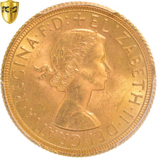 Moneta, Gran Bretagna, Elizabeth II, Sovereign, 1958, PCGS, MS64, SPL+, Oro