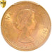 Moneda, Gran Bretaña, Elizabeth II, Sovereign, 1958, PCGS, MS65, FDC, Oro