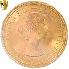 Moneda, Gran Bretaña, Elizabeth II, Sovereign, 1962, PCGS, MS65, FDC, Oro