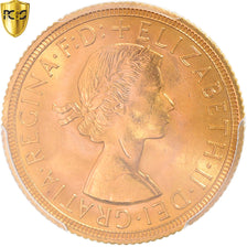 Moneda, Gran Bretaña, Elizabeth II, Sovereign, 1963, PCGS, MS63, SC, Oro