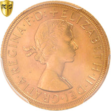 Moneda, Gran Bretaña, Elizabeth II, Sovereign, 1964, PCGS, MS63, SC, Oro