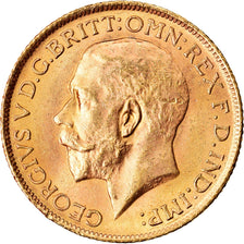 Moeda, Grã-Bretanha, George V, Sovereign, 1915, London, MS(60-62), Dourado