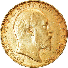 Moneta, Gran Bretagna, Edward VII, Sovereign, 1909, SPL-, Oro, KM:805