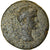 Moneda, Caria, Trapezopolis, Augustus, Bronze Æ, 27 BC-AD 14, BC+, Bronce