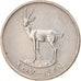 Coin, United Arab Emirates, 25 Fils, 2007/AH1428, British Royal Mint, EF(40-45)
