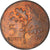 Coin, Turkey, 5 Kurus, 1974, EF(40-45), Bronze, KM:890.3