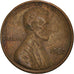 Moneta, USA, Lincoln Cent, Cent, 1982, U.S. Mint, Philadelphia, VF(30-35)